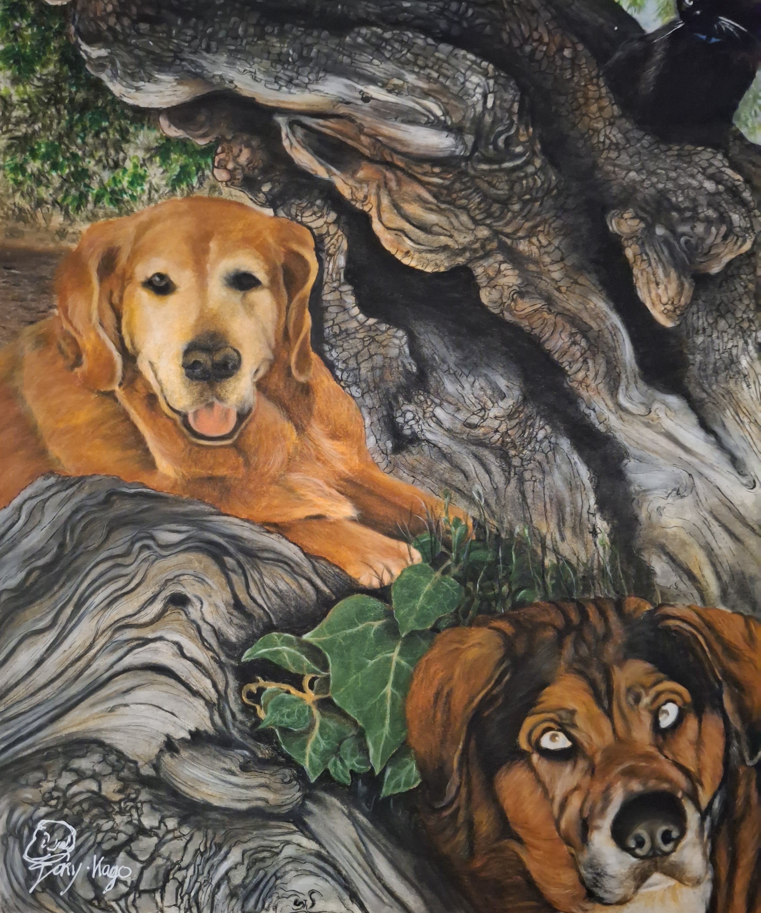 Commission, Portrait de chiens et chat